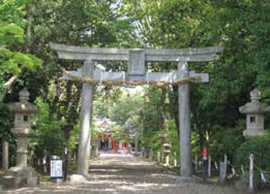 鴨神社